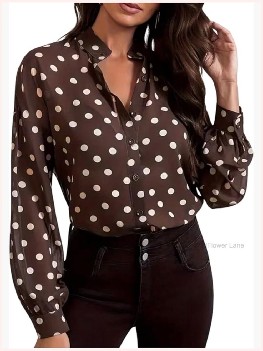 Polka Dots Button Down Shirt Long Sleeve Sheer Going Out Work Blouse Top